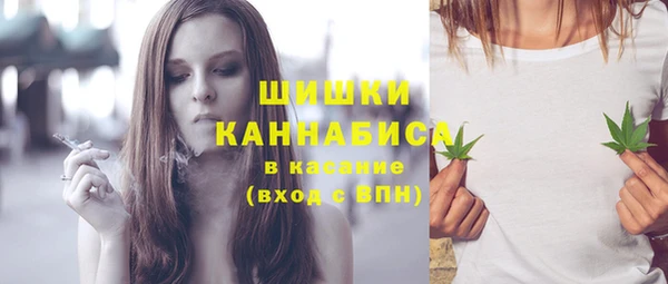 шишки Алзамай