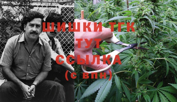 шишки Алзамай