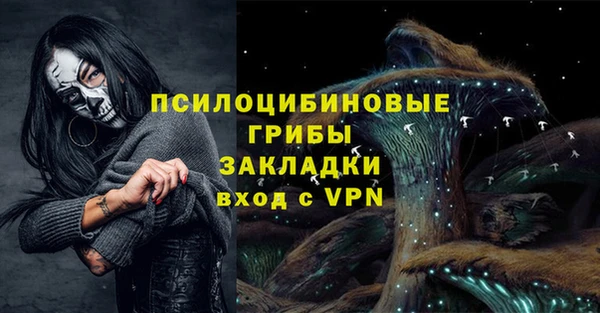 герыч Алексин