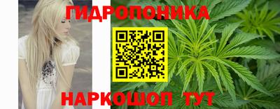 стаф Свободный