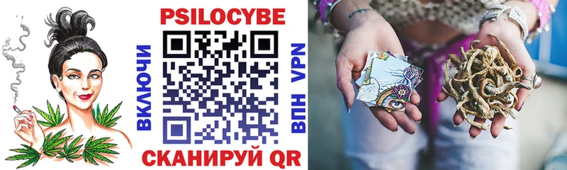 Галлюциногенные грибы Psilocybine cubensis  как найти закладки  Киреевск 